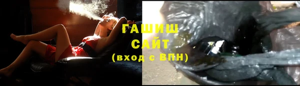 ECSTASY Богданович