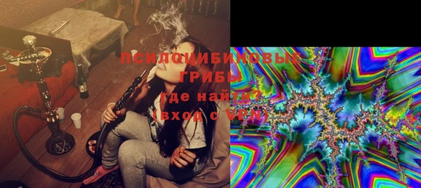 ECSTASY Богданович