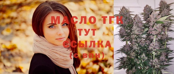 ECSTASY Богданович