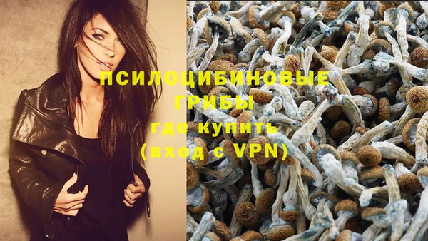 ГАЛЛЮЦИНОГЕННЫЕ ГРИБЫ Богородицк