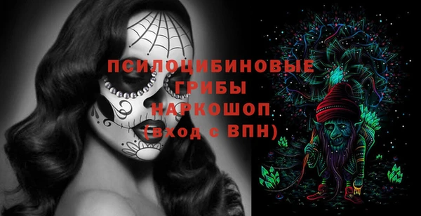 эйфоретик Богородск