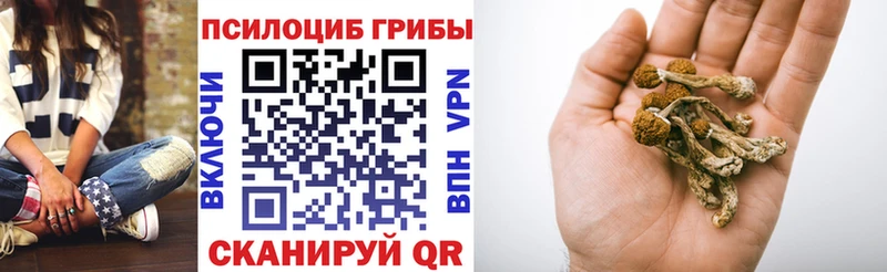 Галлюциногенные грибы ЛСД Мезень