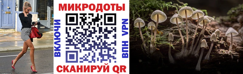 Галлюциногенные грибы Cubensis  как найти   Мезень 